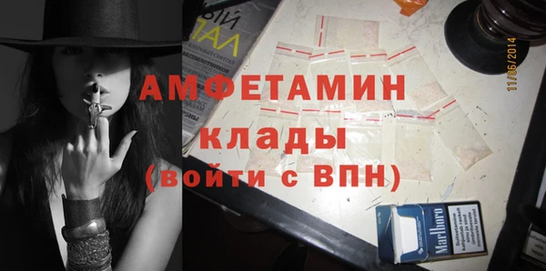 индика Арсеньев