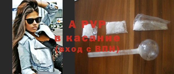 индика Арсеньев