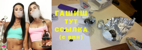 индика Арсеньев