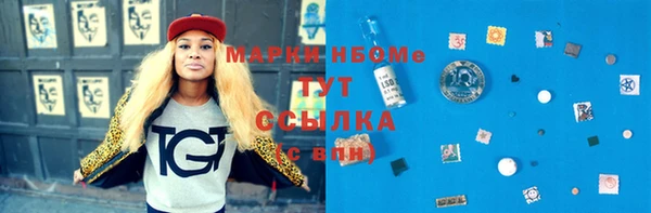 индика Арсеньев