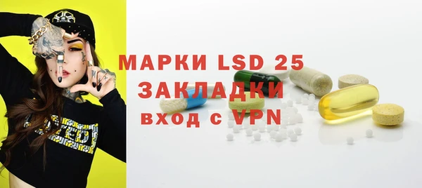 индика Арсеньев