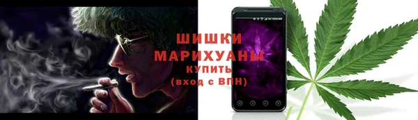 индика Арсеньев