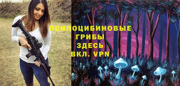 спиды Армянск