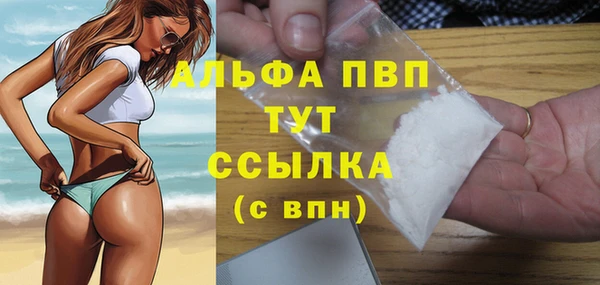индика Арсеньев
