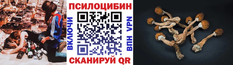 Галлюциногенные грибы Cubensis  Спасск 